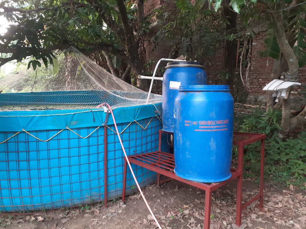 Cold-water stream fish survey in Bohragaon