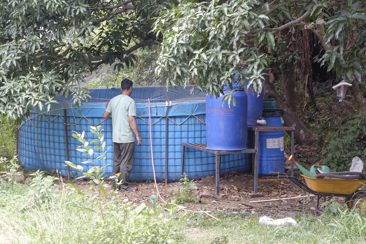 Priscilla lake aquaculture monitoring project