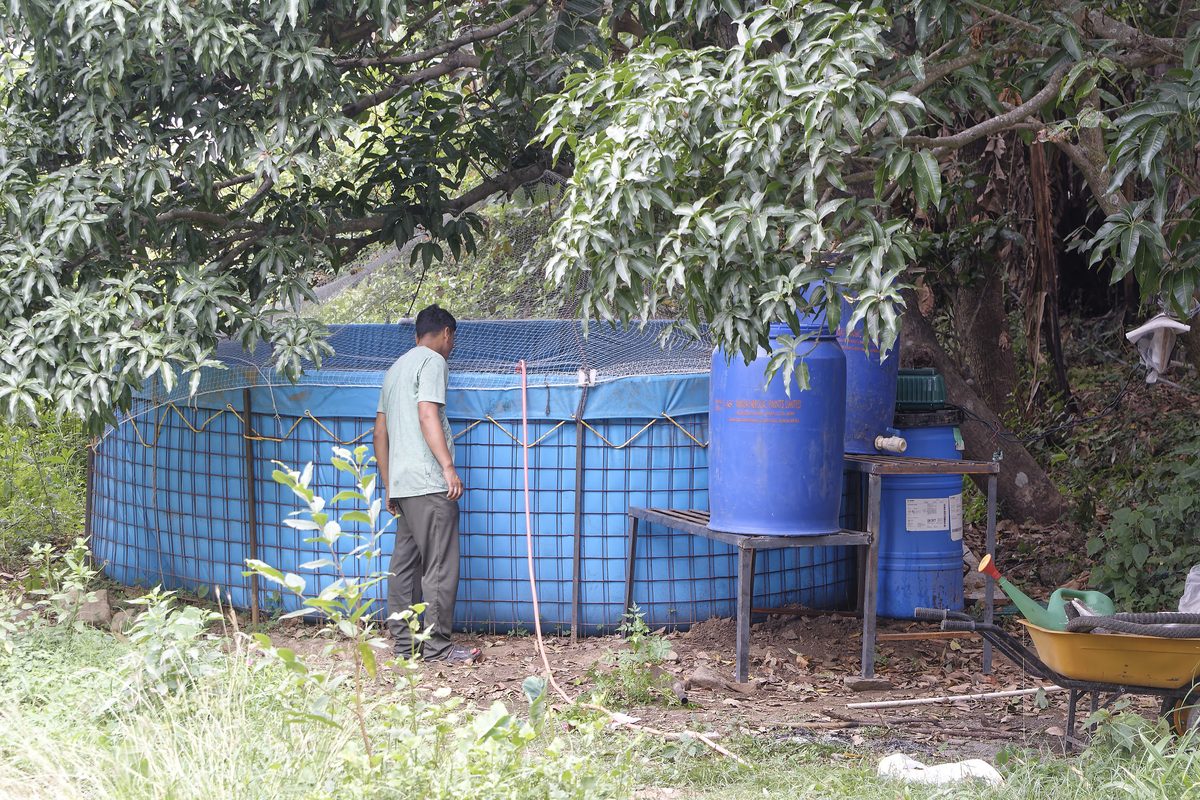 Aquatic ecosystem analysis in Nainital district